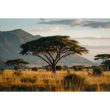 African Landscape Painting